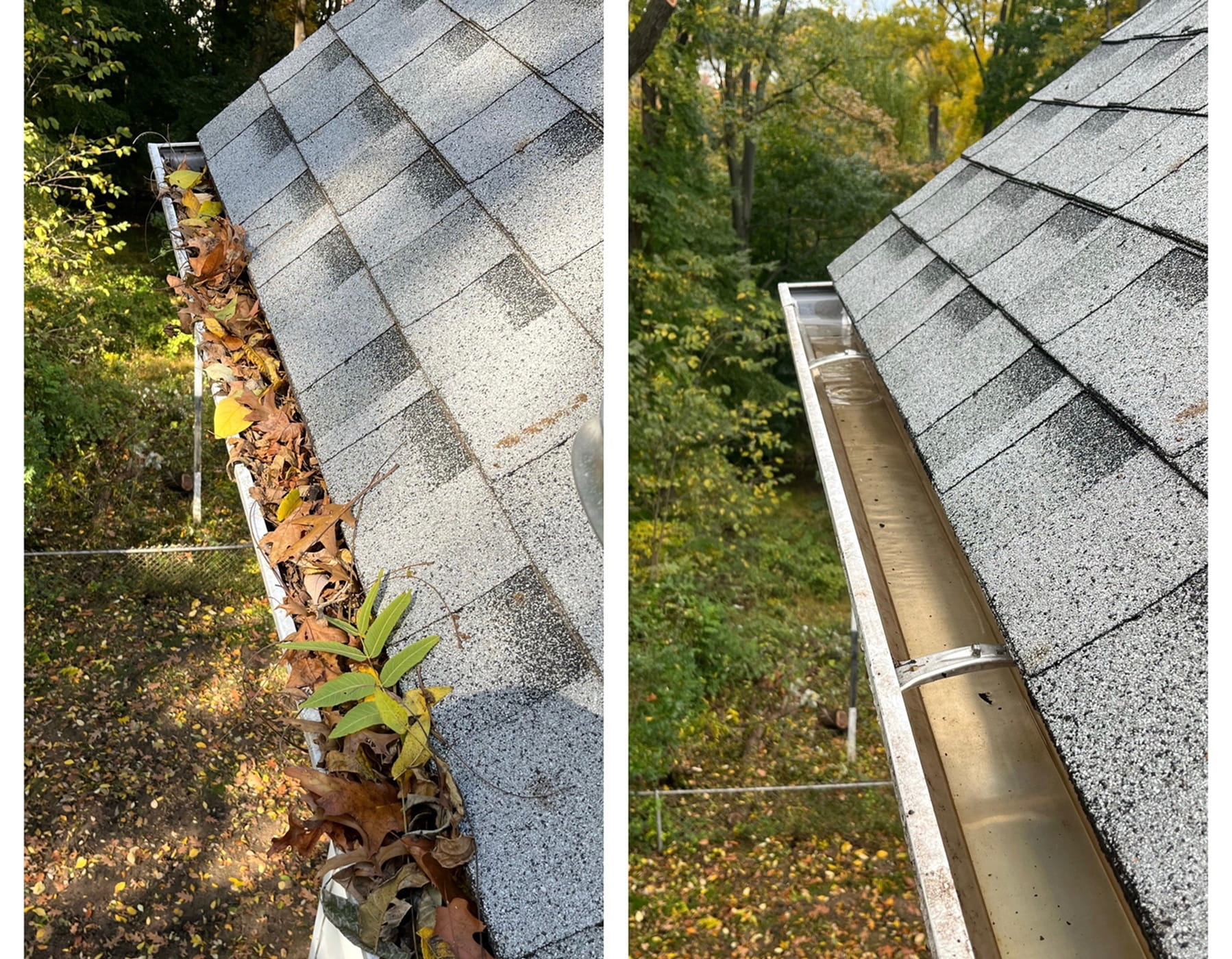 Gutter Cleaning Services